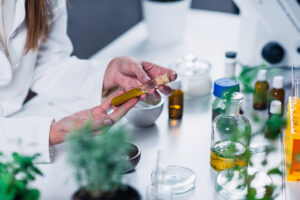 crema antirughe naturale