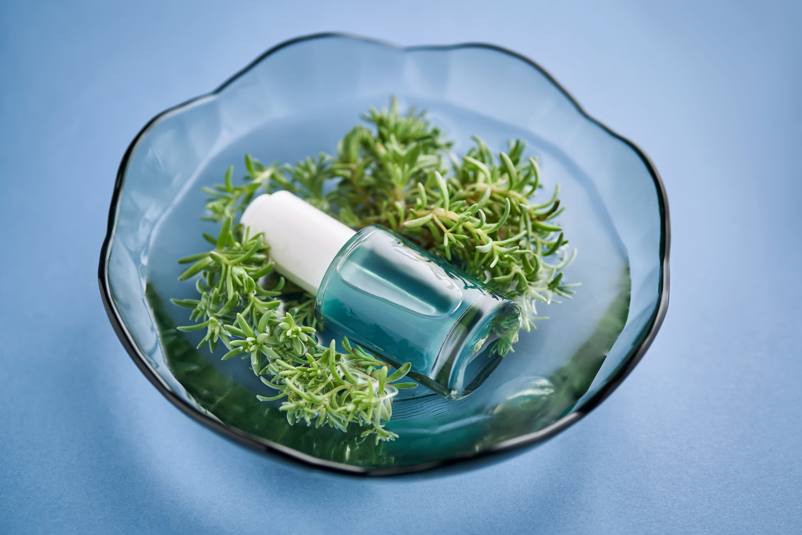 finocchio marino Samphire oil per crema antirughe naturale